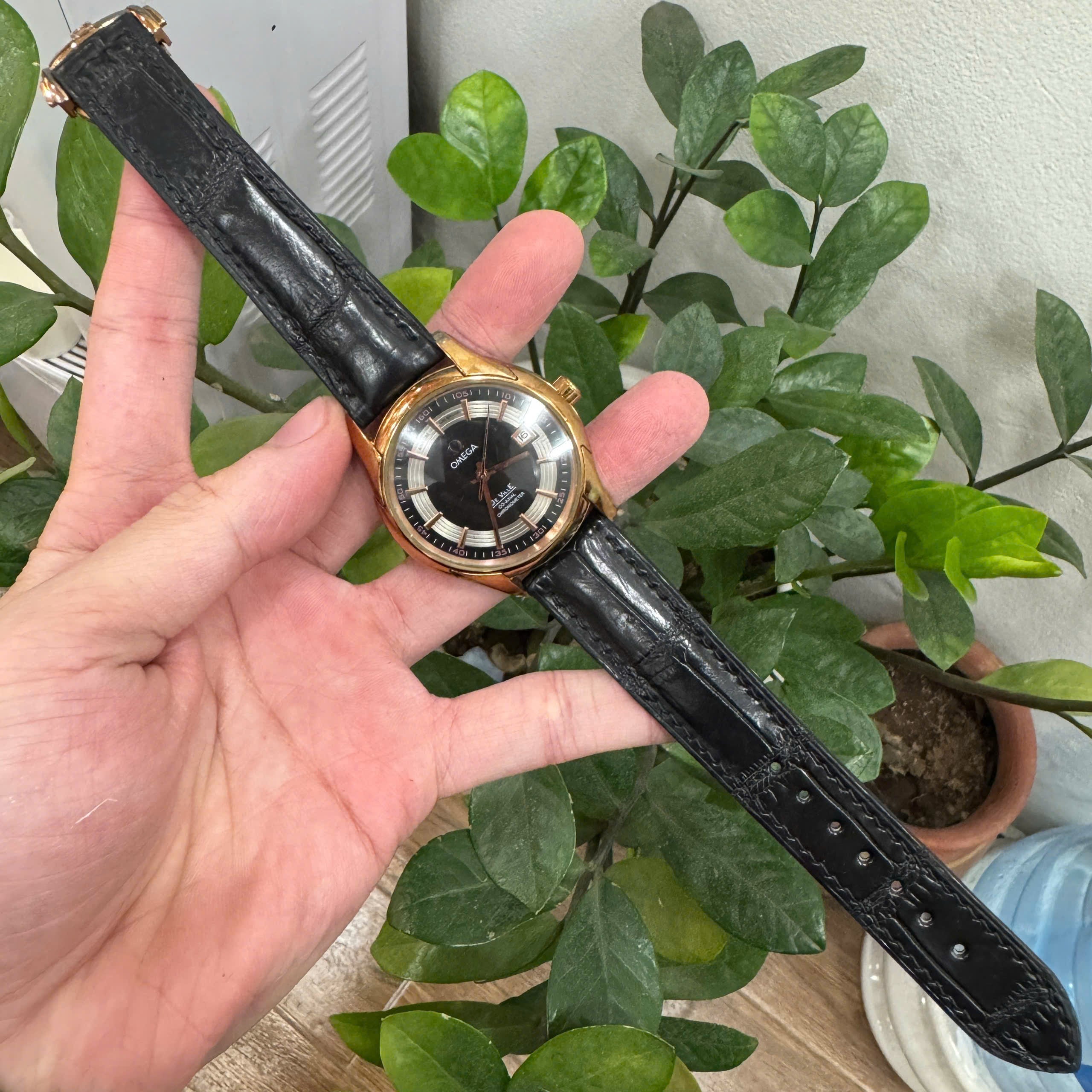 Alligator OMEGA Watch Strap