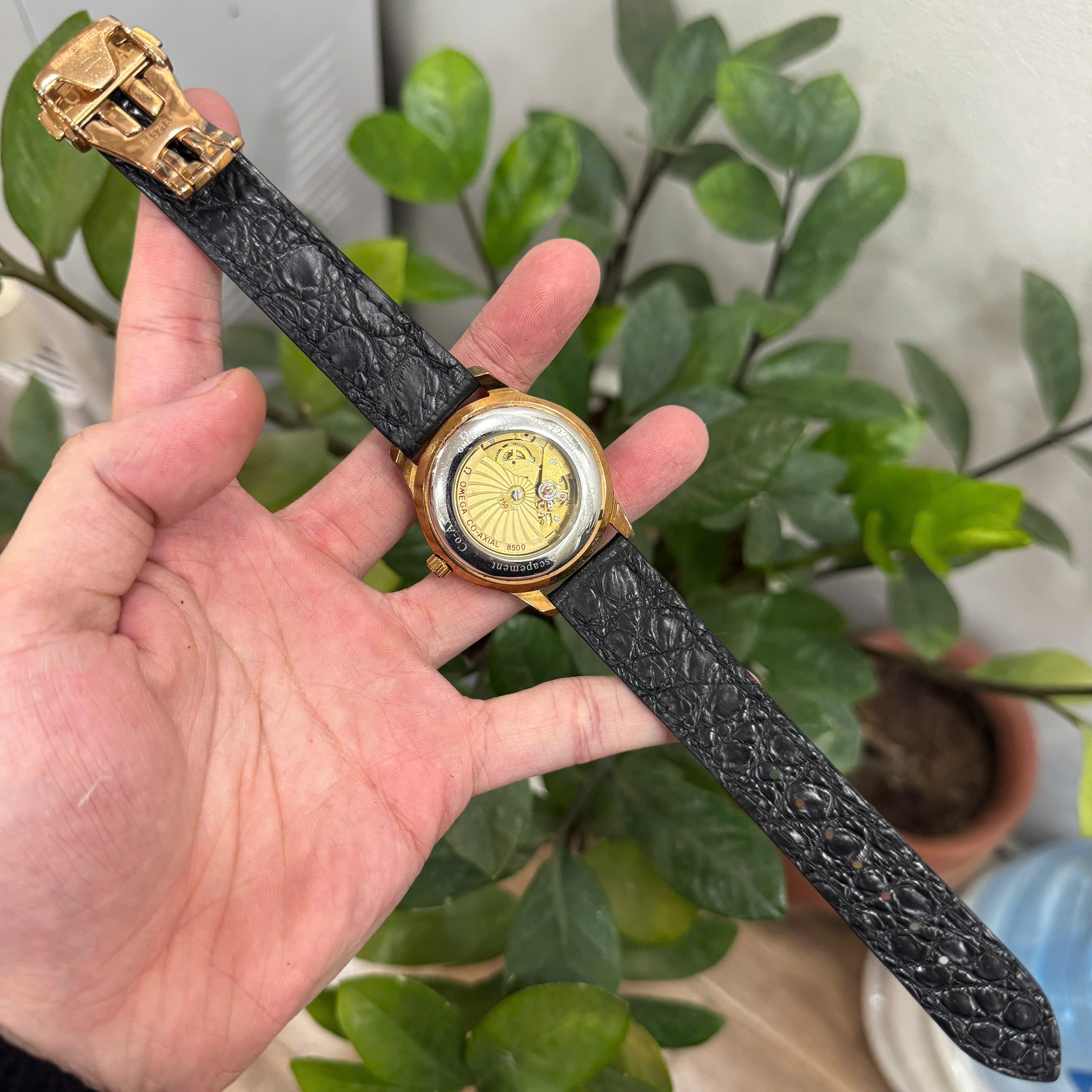 Alligator OMEGA Watch Strap