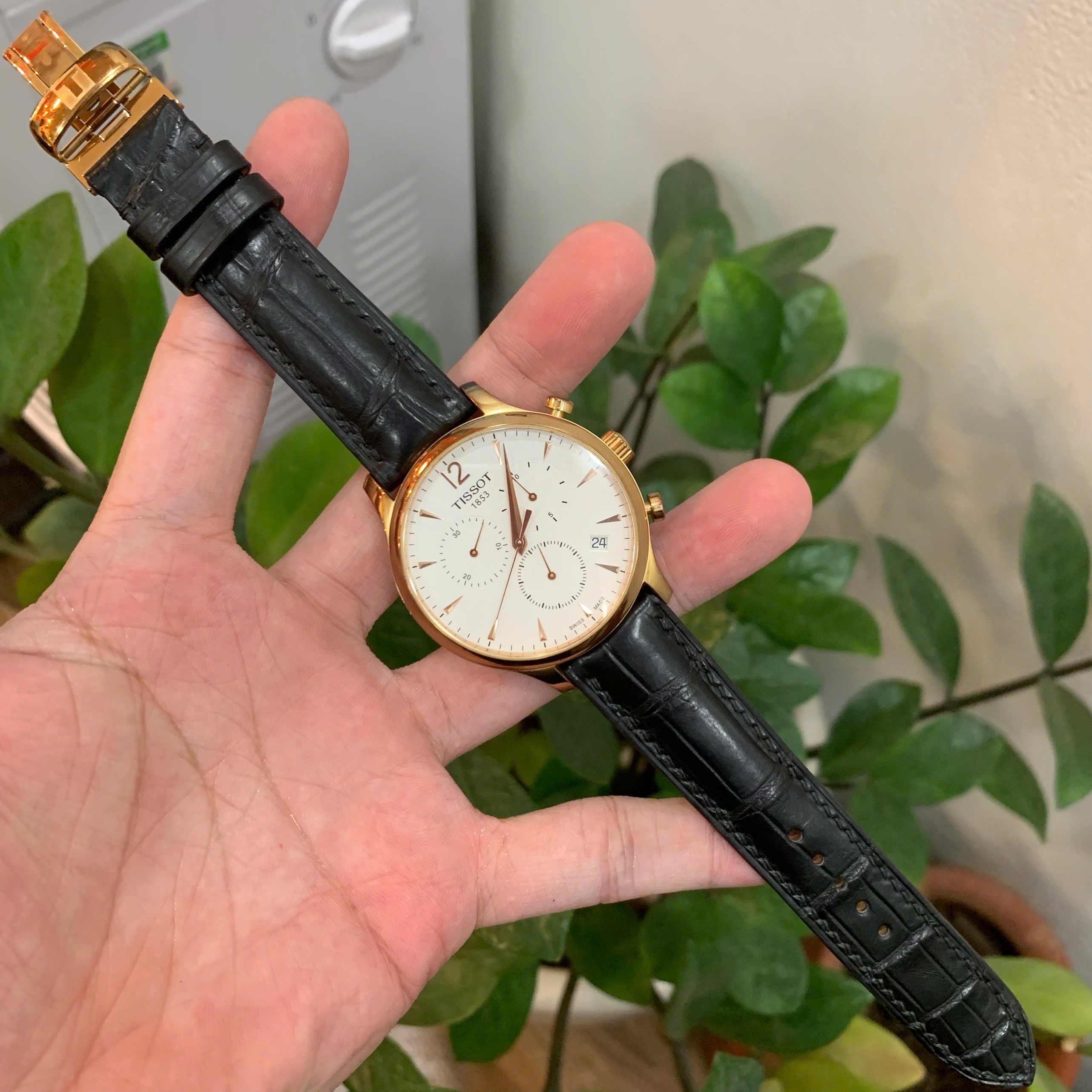 Premium Alligator Leather Strap for Tissot