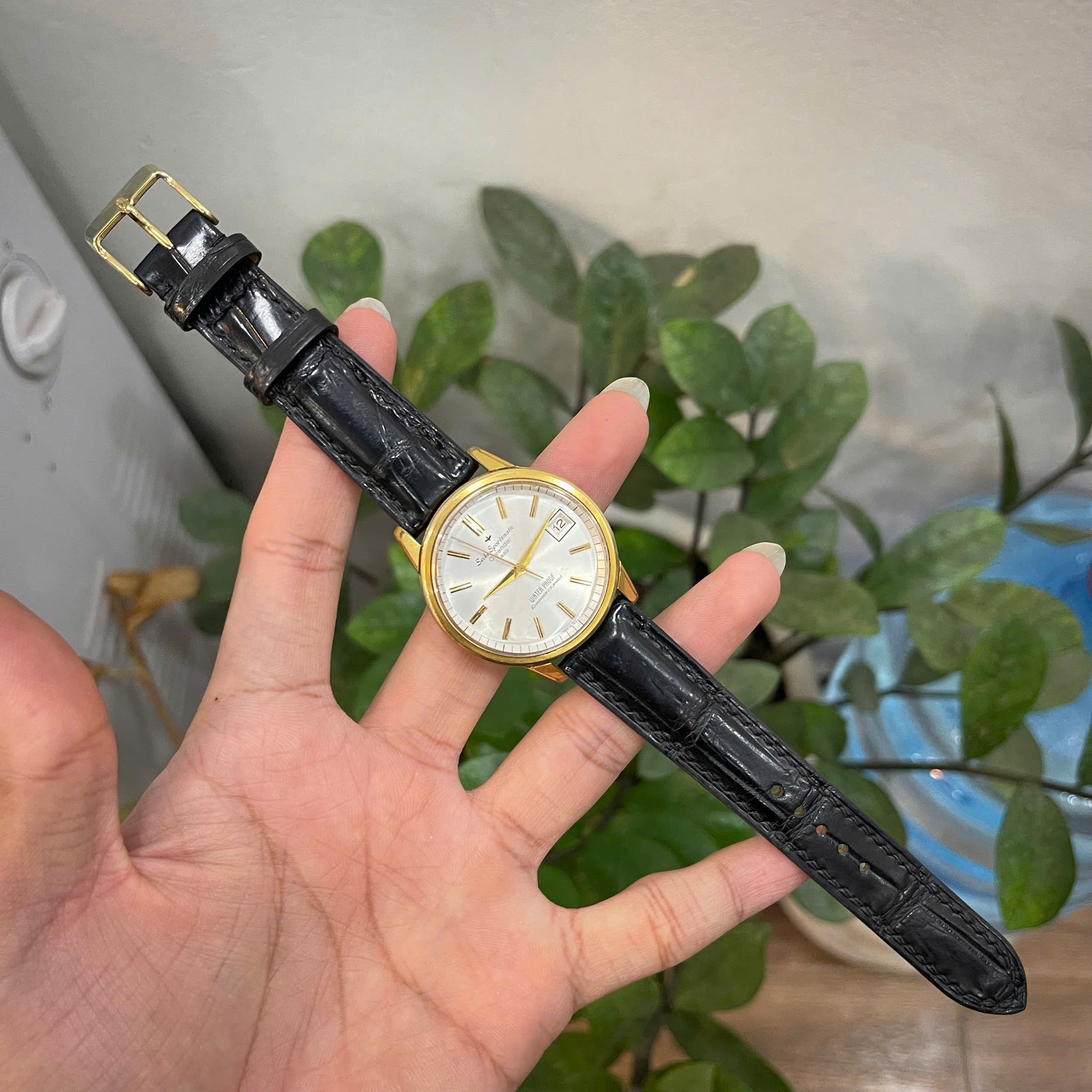 Alligator Seiko Watch Strap