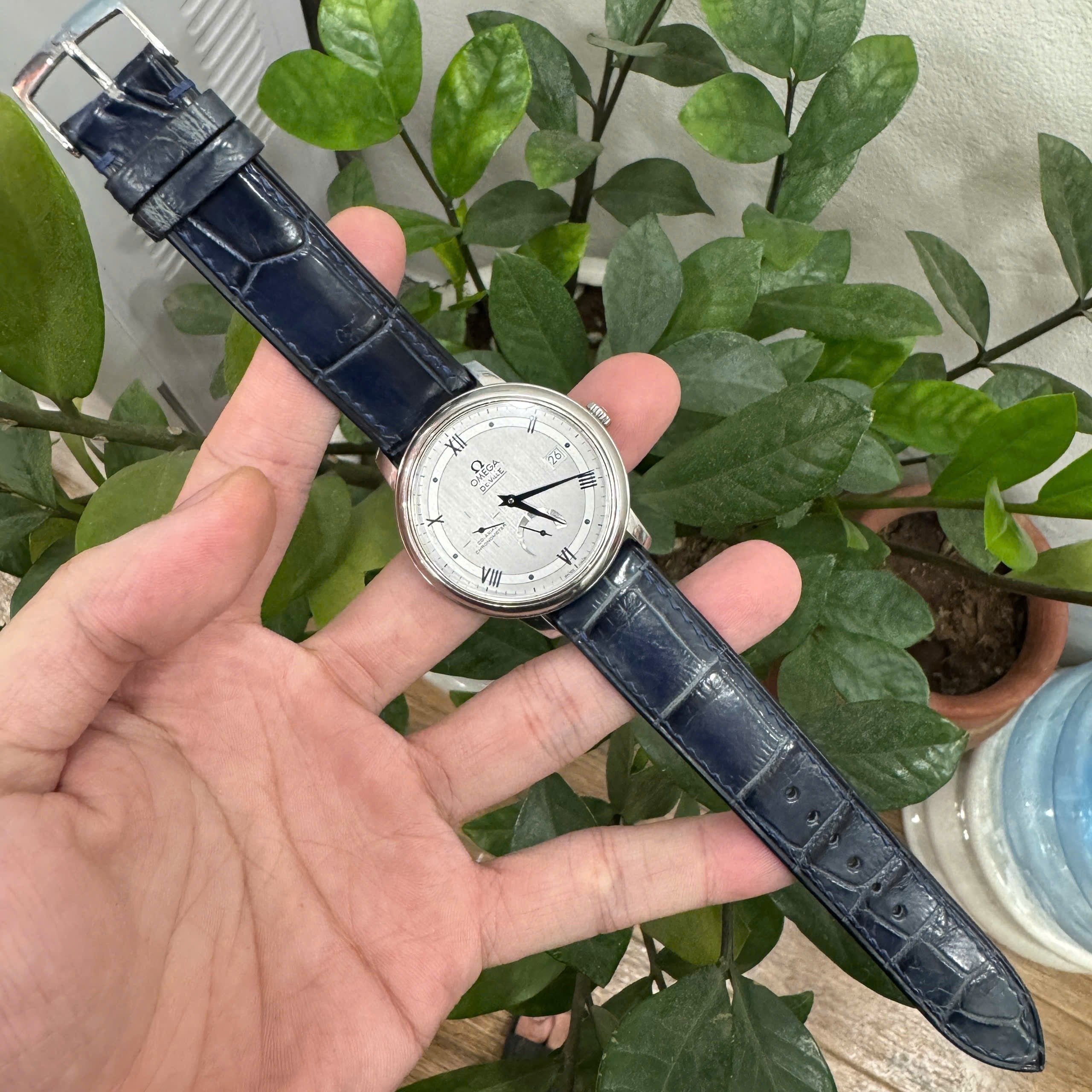 Alligator OMEGA Watch Strap