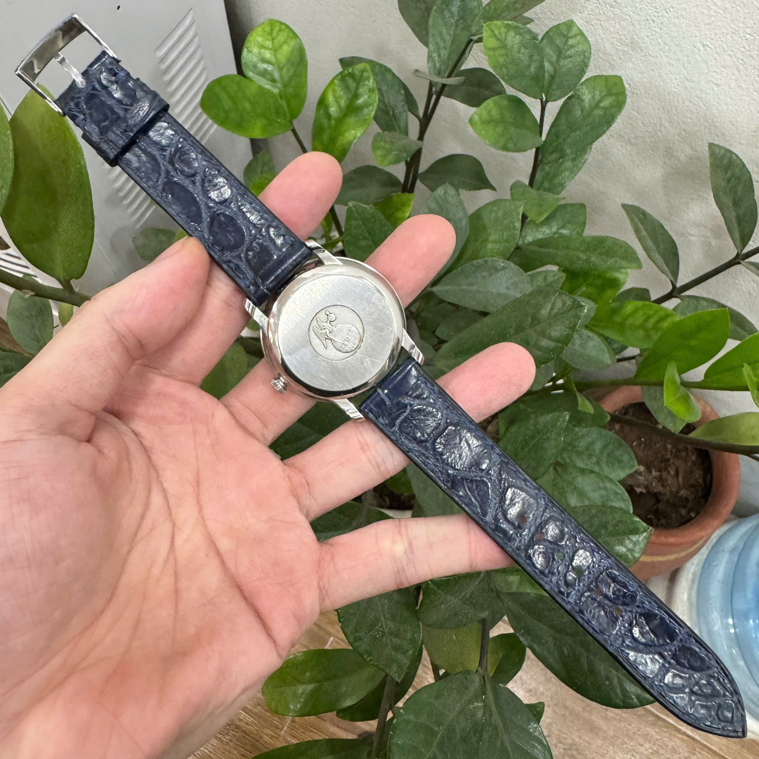 Alligator OMEGA Watch Strap