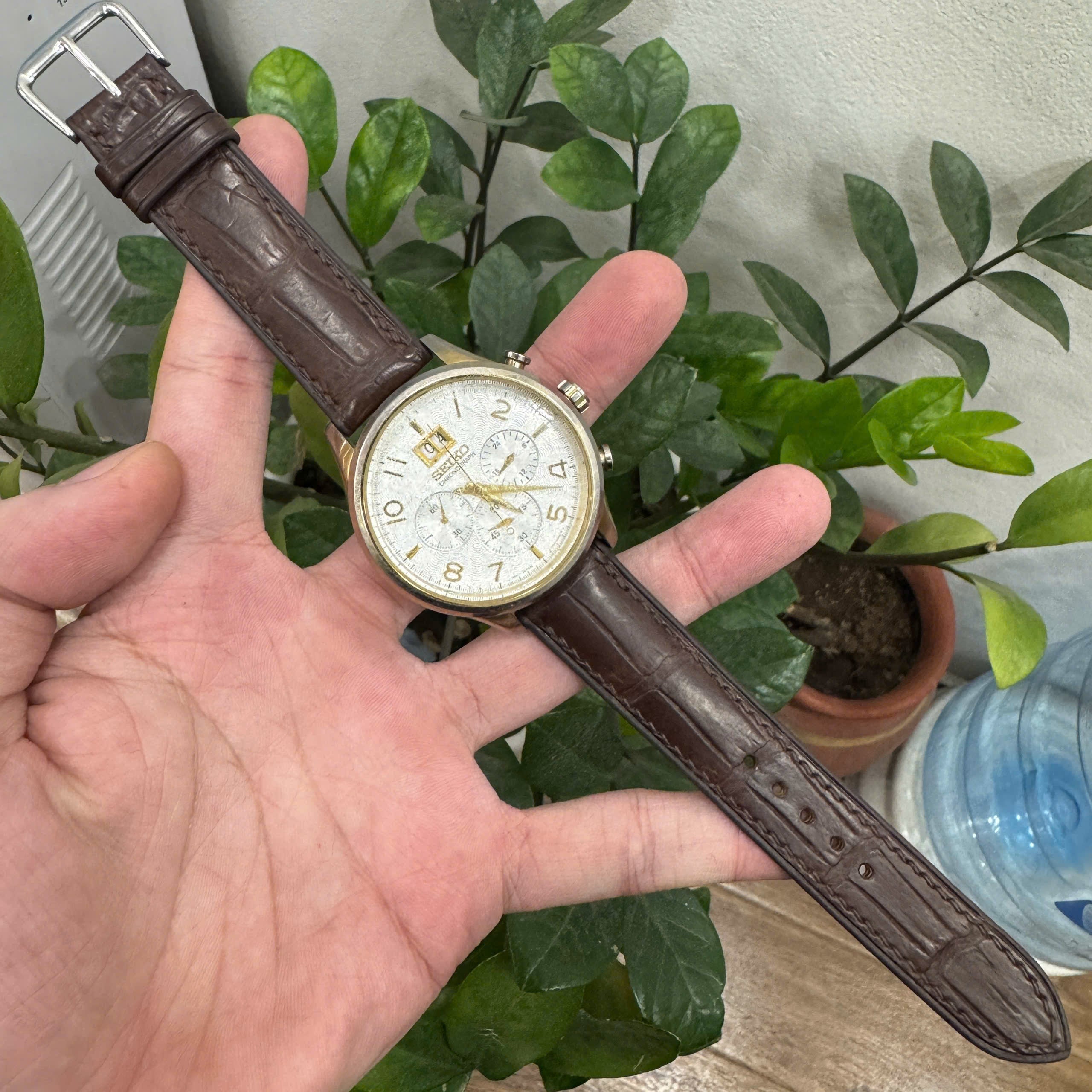 Alligator Seiko Watch Strap
