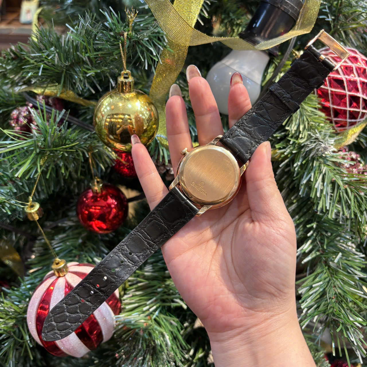 Alligator OMEGA Watch Strap