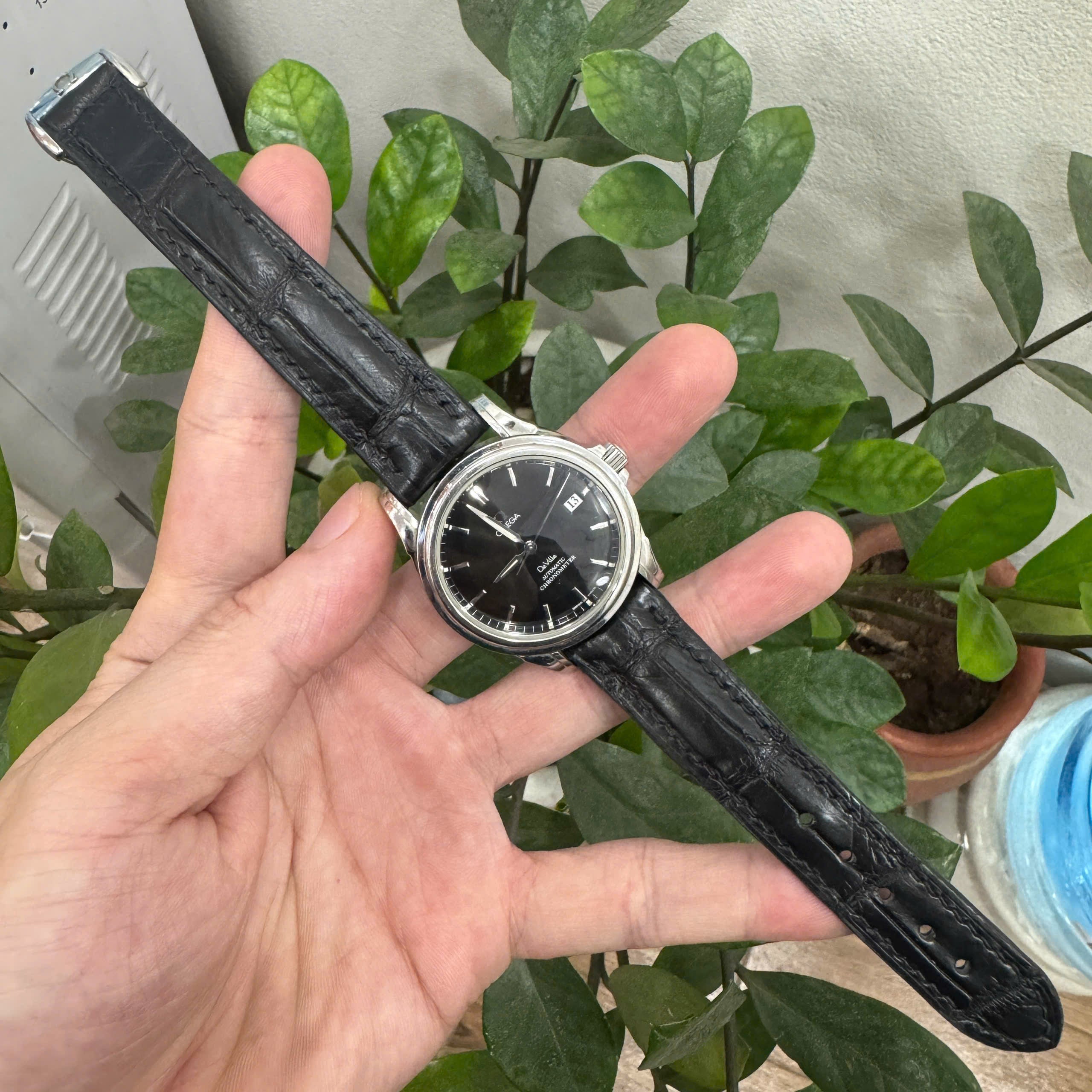 Alligator OMEGA Watch Strap