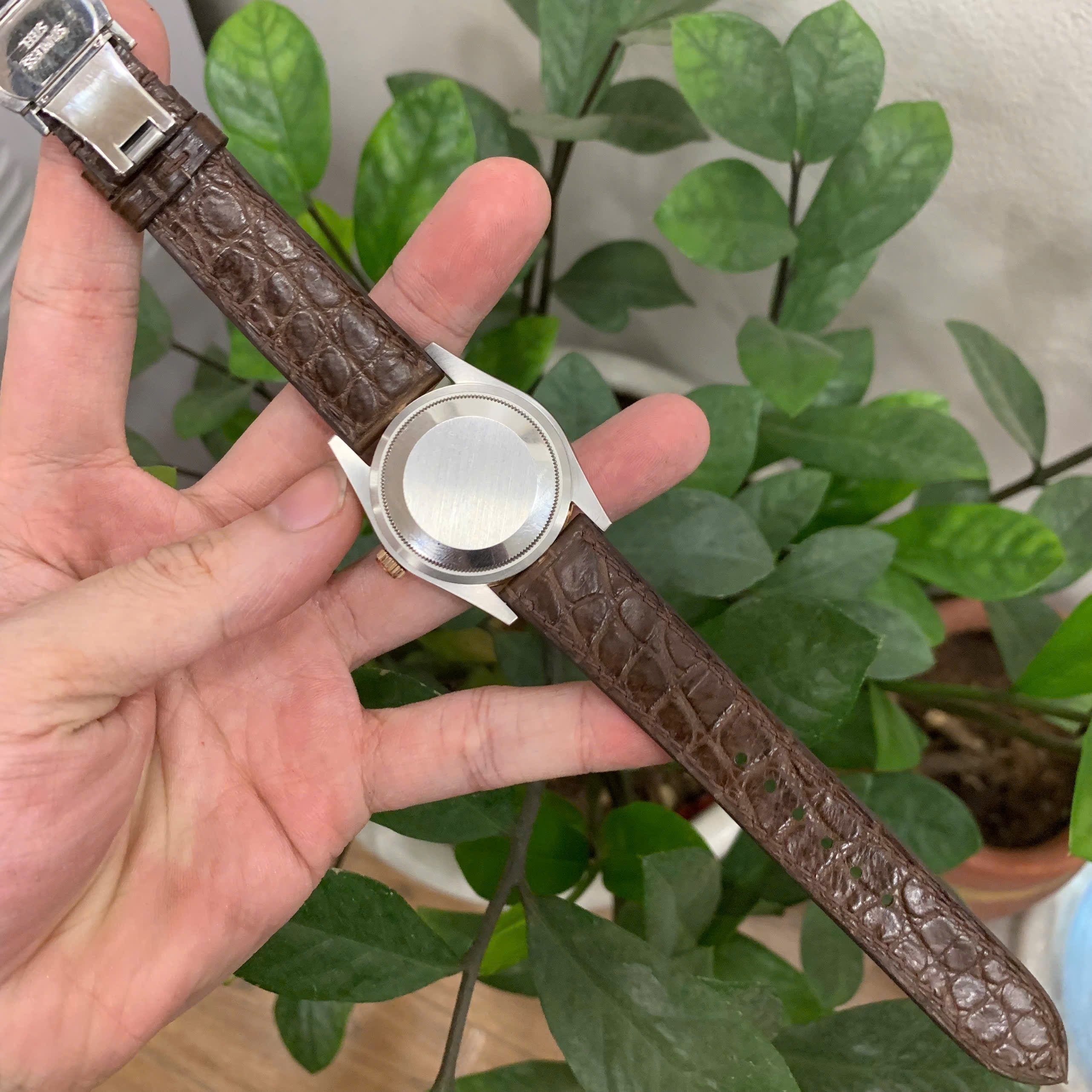 Brown Alligator Leather Watch Strap for Rolex Oyster Perpetual Datejust