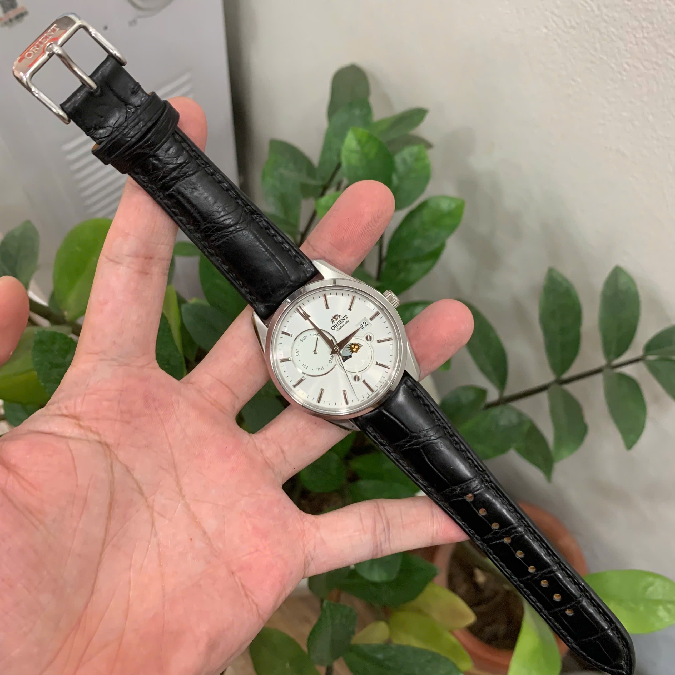 Premium Alligator Leather Strap for Orient